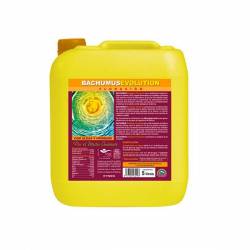 Bachumus Evolution Floración de Trabe