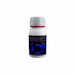 Bactofil de Agrobacterias