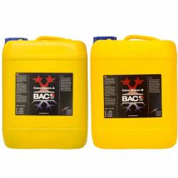 Coco Bloom A&B de B.A.C.