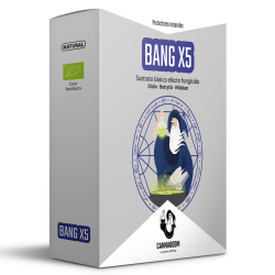 Bang X5 de Cannaboom