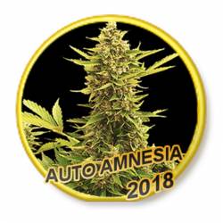 Auto Amnesia de Mr. Hide Seeds