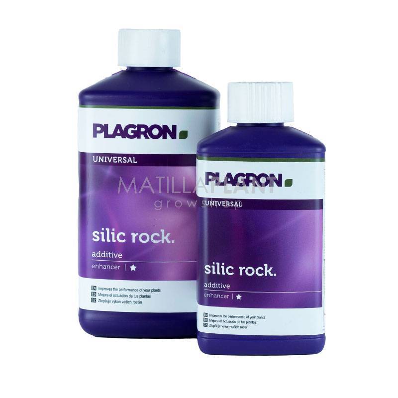 Silic rock de Plagron
