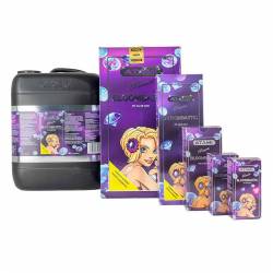 Bloombastic Atami de Atami