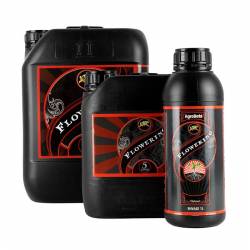 Flowering Agrobeta Black Line