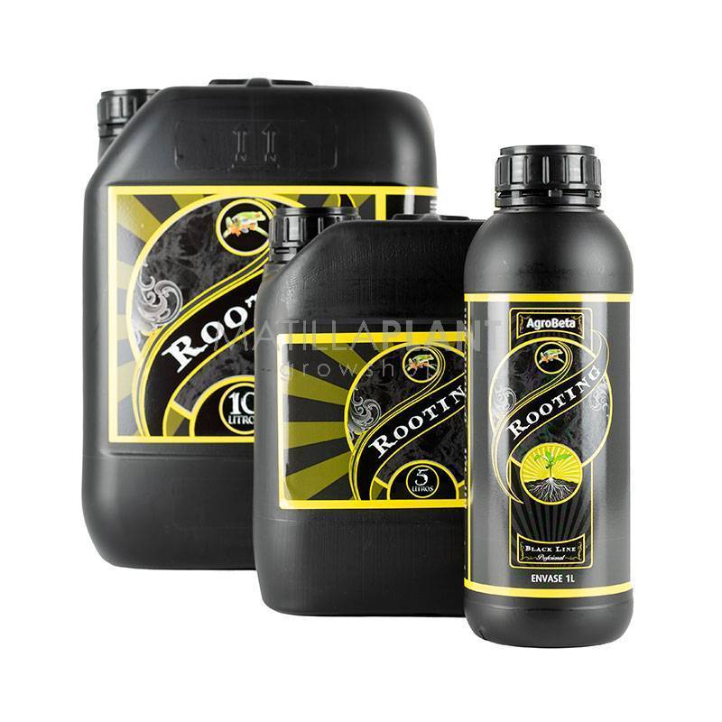 Rooting Black Line Agrobeta