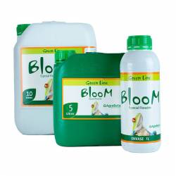 Bloom Green Line de Agrobeta