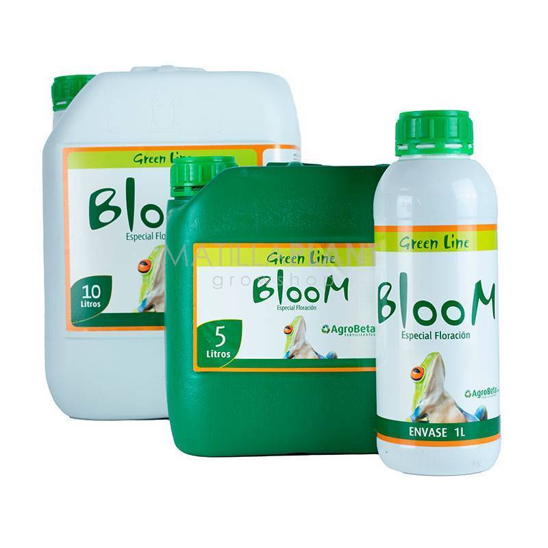 Bloom Green Line de Agrobeta