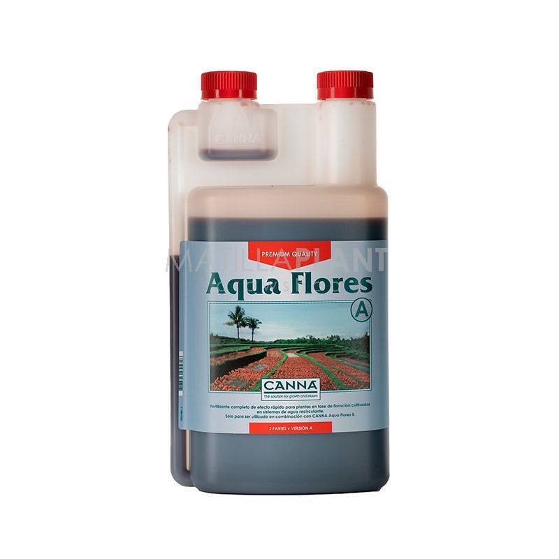 Aqua Flores A de Canna