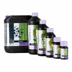 B'cuzz Silic Boost de Atami