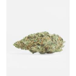 Lemon Tree CBD Flores