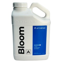 bloom a athena