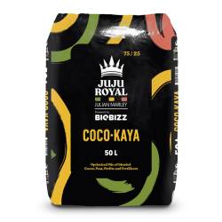 Juju Royal Coco Kaya