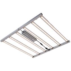 Pantalla Led Spider al mejor precio