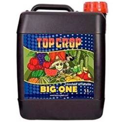 BIGONE TOP CROP 5L MATILLAPLANT