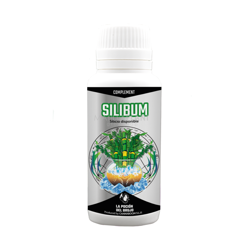 SILIBUM CANNABOOM MATILLAPLANT
