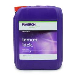Lemon Kick