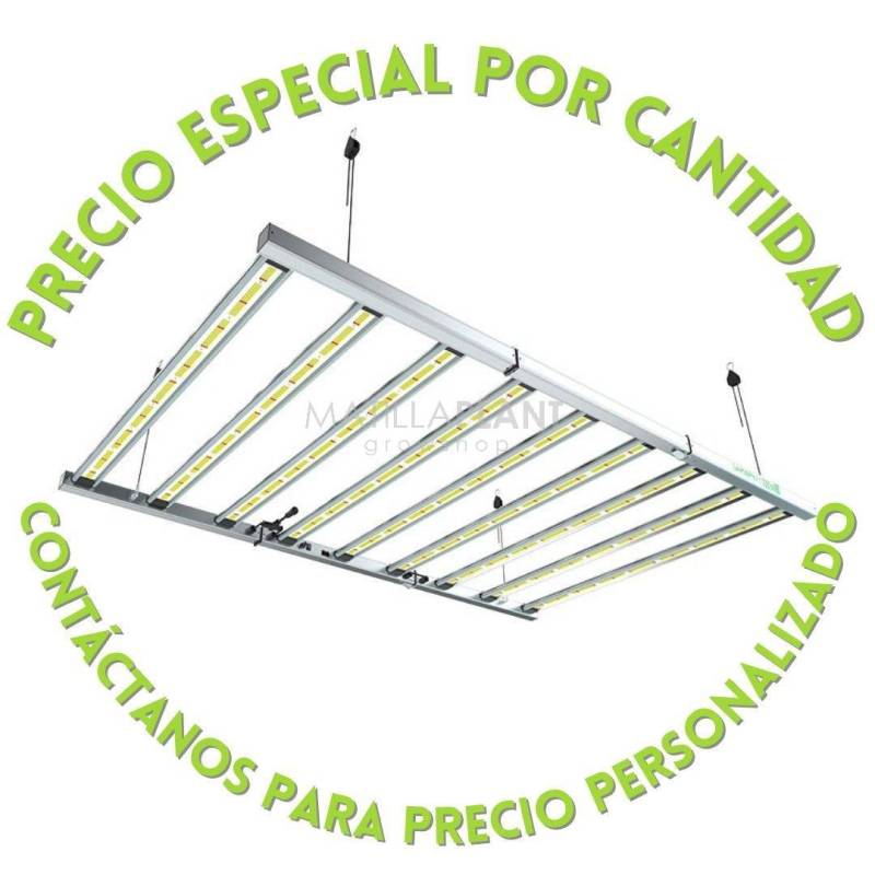 LAZERLITE PRO 1080W 3.1