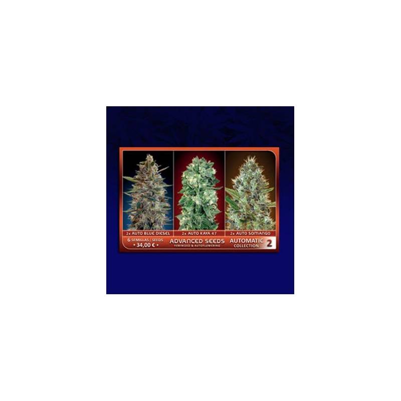 Colección 2 Autofloreciente Feminizada de Advanced Seeds