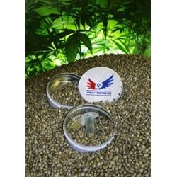 Colección Express Feminizada de Positronics