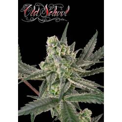 Old School Feminizada de Ripper Seeds