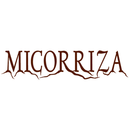 Micorrizas