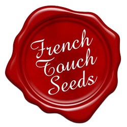 French Touch Seeds