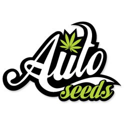 Auto Seeds