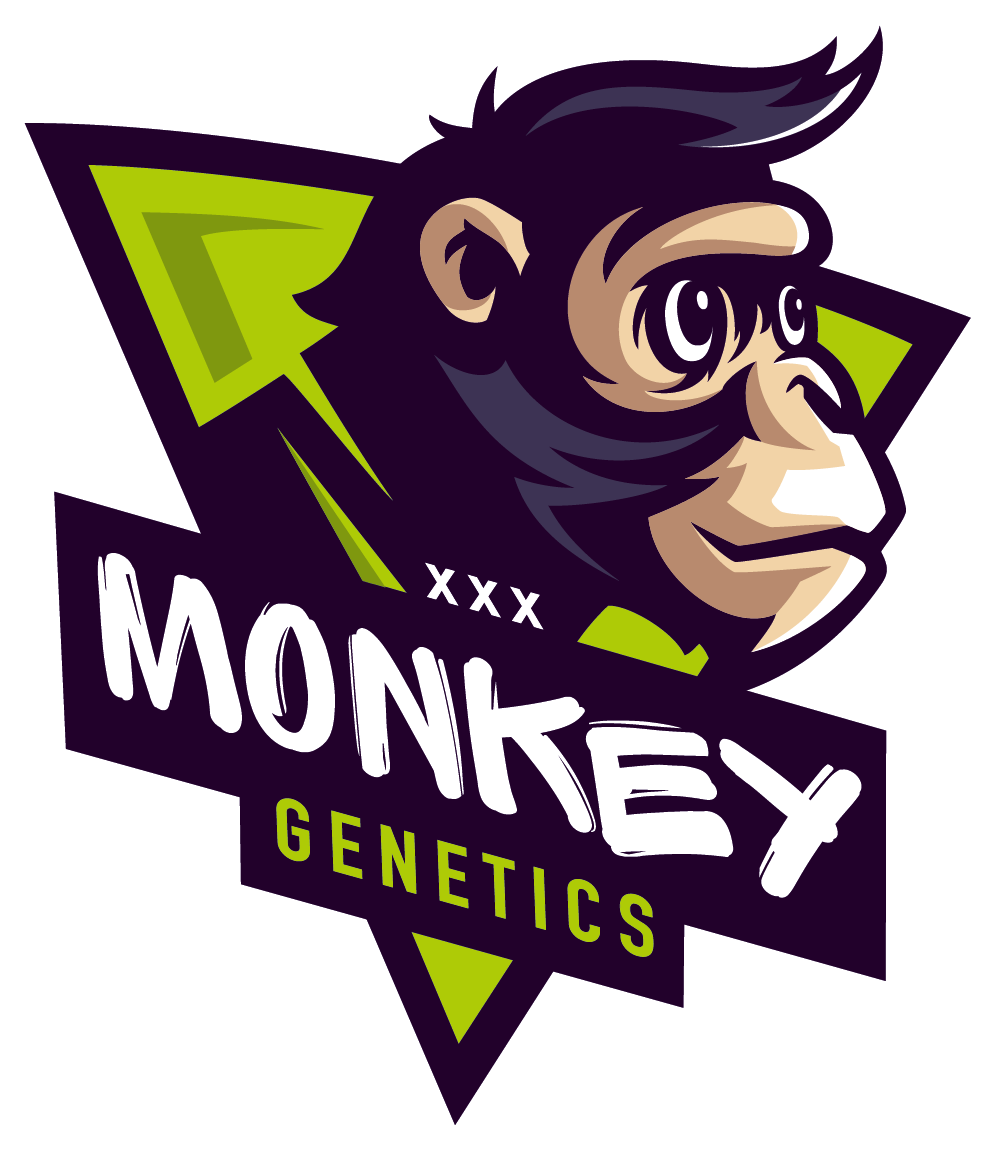 Monkey Genetics
