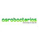Agrobacterias