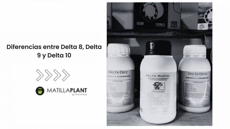 ¿Qué diferencias hay entrer Delta 8, Delta 9 y Delta 10 de Cannabiogen?