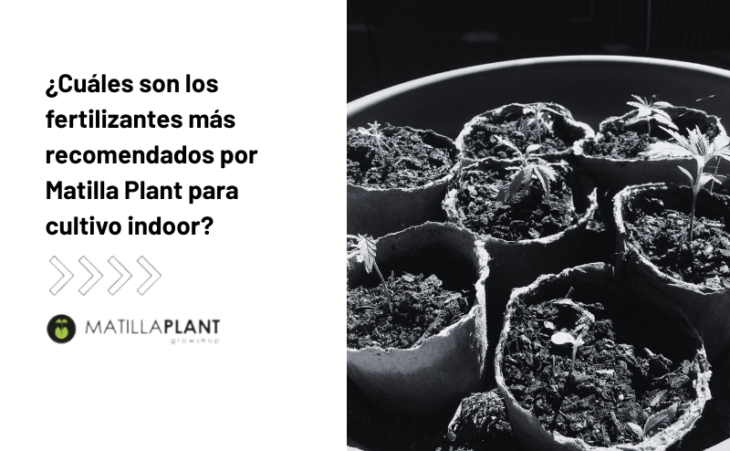 ¿Cuáles son los fertilizantes más recomendados por Matilla Plant para cultivo indoor?